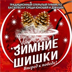 Зимние шишки 2021